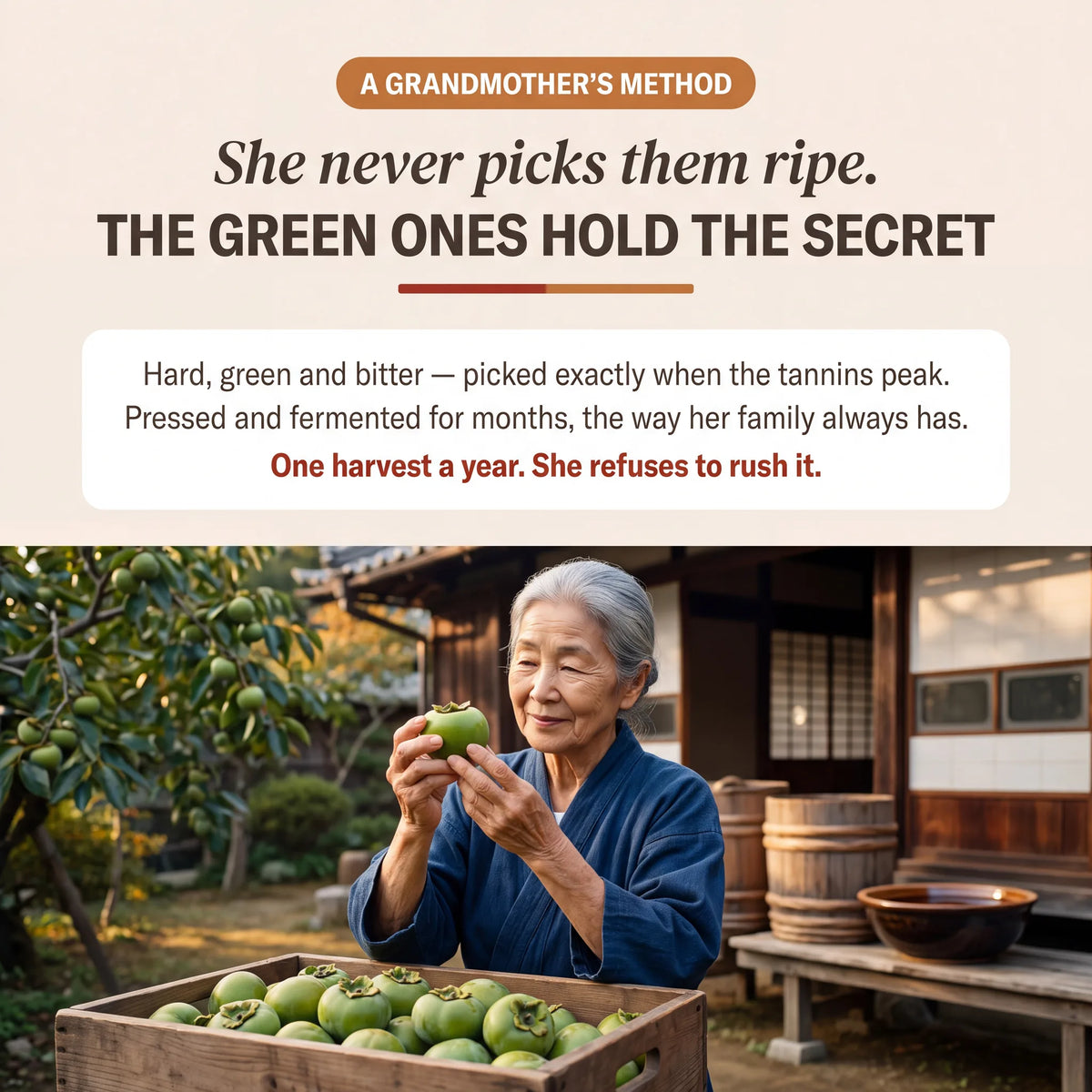 The 秘密 Shibuka Bar — Real Fermented Kakishibu