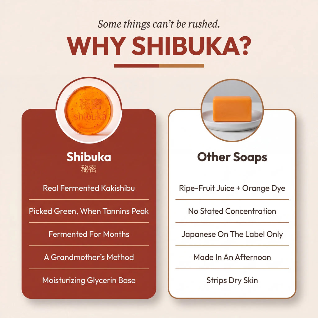 The 秘密 Shibuka Bar — Real Fermented Kakishibu